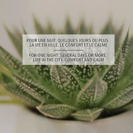 Lägenhet La Maisonnette De La Concorde Au Coeur De