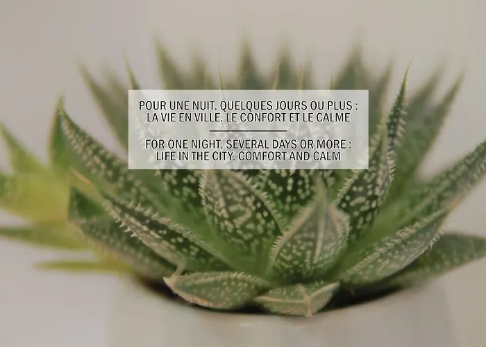 Апартаменты La Maisonnette De La Concorde Au Coeur De